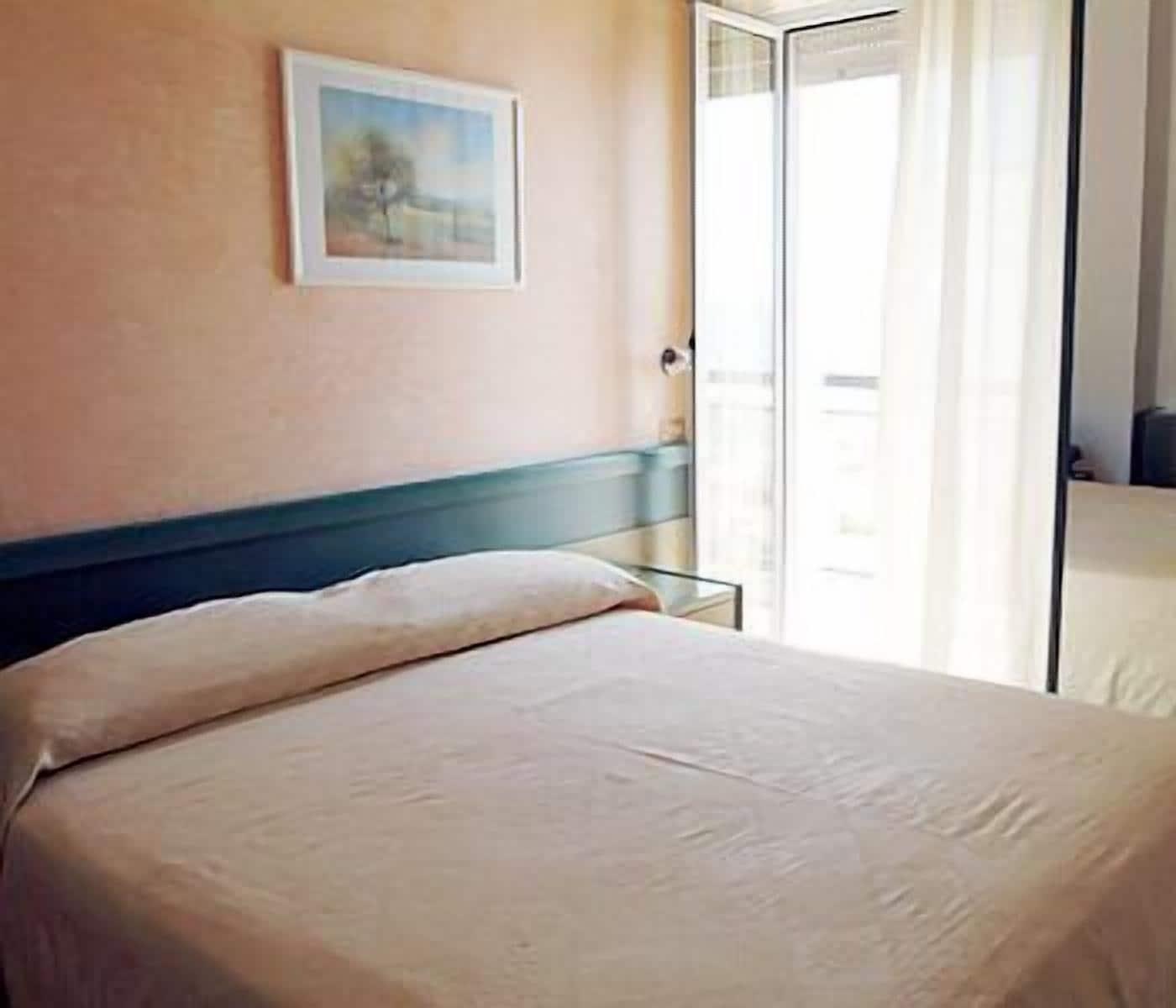Hotel Ausonia